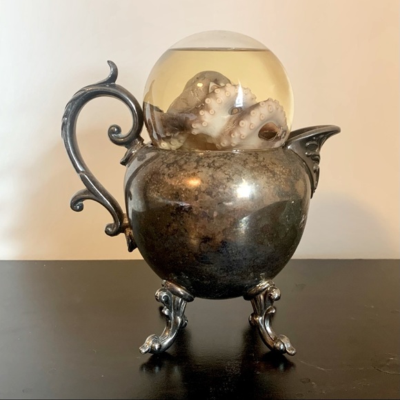 darling taxidermy Other - Real octopus in an antique creamer